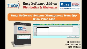 Busy Software Scheme Qty wise Pricing setting busy addon for wholesaler and distributors addon