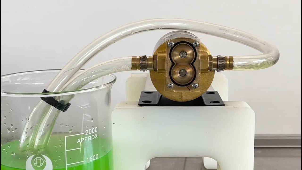Ranking 18LPM Fuel Transfer Gear Oil Pump 12V Small Electric For Oil Diesel Engine Oil Transfer