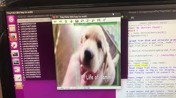 Tiny YOLO Object Detection With Neural Compute Stick (NCS) and UPboard2