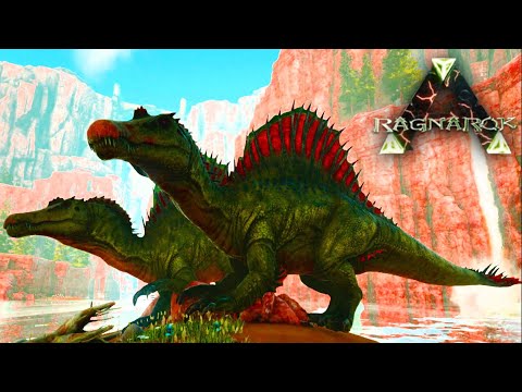 Arkラグナロク Ragnarok ３スピノサウルステイム 生息地発見 Ark Survaival Evolved Youtube