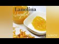 Lanolina Vegetal