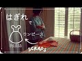 ハギレで服を縫うノウハウ ⌘ 大人服を作った余りのハギレで子供服を縫う