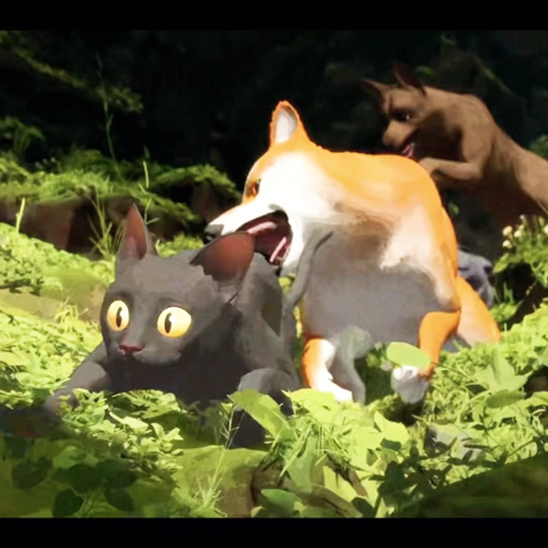 O GATINHO FUGINDO DOS CACHORROS #shorts