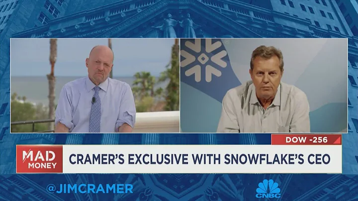 We can't lose sight of larger trends by zeroing in on a single period, says Snowflake CEO