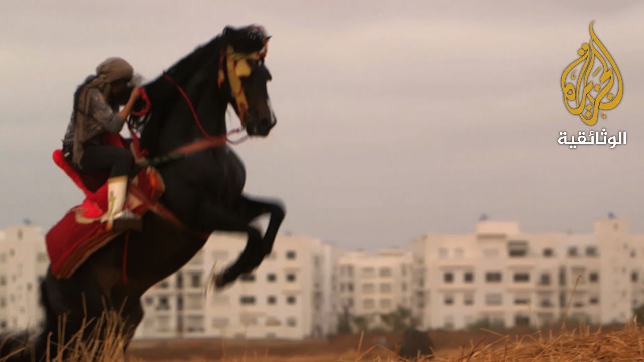 ركبن الجياد