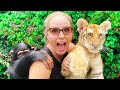 HOW I RAISED A BABY TIGER!?!