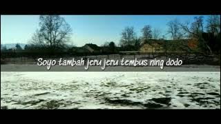 Iso Tanpo Kowe - Safira Inema (LIRIK VIDEO)