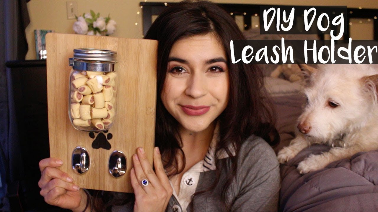 DIY Dog Leash Holder Pet DIYs YouTube