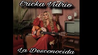 Erika Vidrio La Desconocida (Puras Íntimas) #erikavidrio #ladesconocida #musicaenvivo #musicanueva