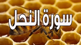 سورة النحل  |  للقارئ احمد تميم المراعي