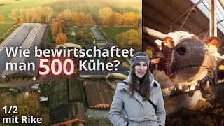 400 Hektar & 500 Kühe: Rike zeigt den Alltag auf dem Milchviehbetrieb🐮👩‍🌾 (Teil 1/2)