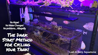 What is 'the dark start method' for cycling your aquarium?!?!