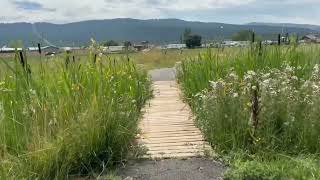 Elmo Walking Path