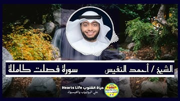 سورة فصلت كاملة للشيخ أحمد النفيس وتلاوة قمة الإبداع والروعة.... قارئ صوته ينسيك هموم الدنيا