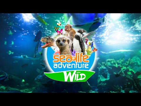 Sealife Wild Promotional Video