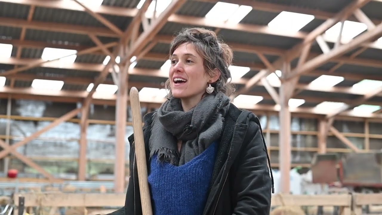 L'élevage d'agneaux AOP des prés salés de la Baie de Somme