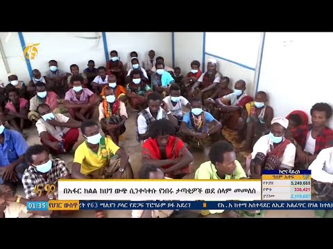 በአፋር ክልል ከህግ ውጪ በሆን መንገድ ሲንቀሳቀሱ የነበሩ ከ200 በላይ ታጣቂዎች ወደ ሰላማዊ ህይወት ተመለሱ