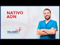 ¿Qué es Nativo? | Nativo ADN