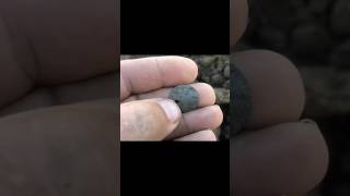 #metaldetecting #поисксметаллоискателем #копвкрыму #клад #коп #memes #монеты #металлоискатель #coin
