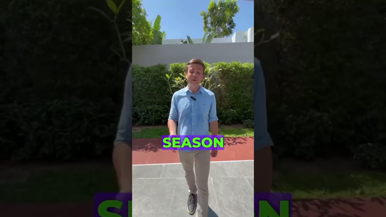 High season and low season in Thailand 🤔🌴 