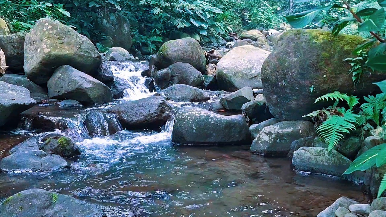 Gentle River Water for Inner Calm
