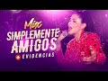 Pamela Franco - Mix Simplemente Amigos, Evidencias