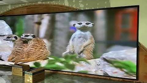 P1.875 small pixel pitch led