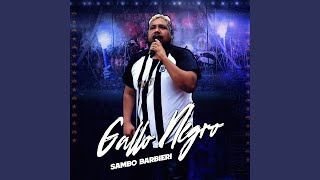 Gallo Negro