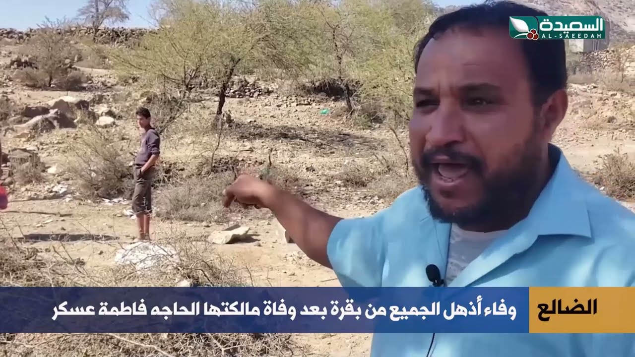 وفاء بقرة .. قصة أذهلت الجميع من بقرة بعد وفاة مالكتها