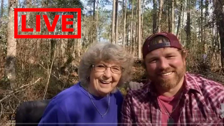 My grandson and I replacing old bridges in my woods