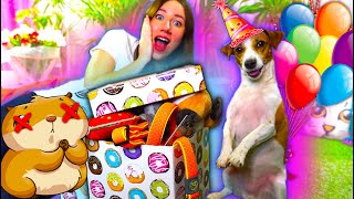 Порвала Хомячка на День рождения 🎁 6 Подарков на 6 ЛЕТ | Elli Di Pets