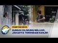 Sejumlah Wilayah Jakarta Terendam Banjir Imbas Luapan Sungai Ciliwung