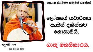 ධාතු මනසිකාරය..Ven Hasalaka Seelawimala Thero