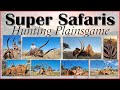 Hunt plains game with super safaris south africa