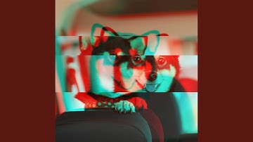 Pulsating Ambience for Brave Doggy