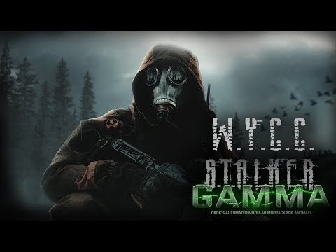 Видео: S.T.A.L.K.E.R. Anomaly GAMMA #4 (Стрим от 19.05.2023)