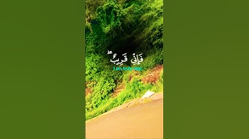 تلاوة خاشعة تريح القلب قرأن كريم راحة نفسية #قران_كريم #elmulquranعلم #اكسبلور #المصحف #duet #قرآن
