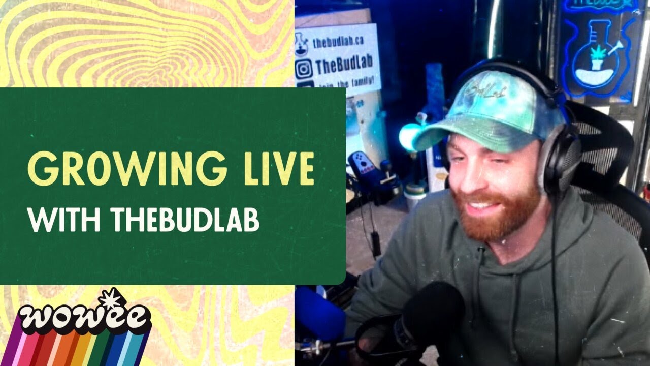 Flower Hour: Growing Live with Derek of TheBudLab | Wowee