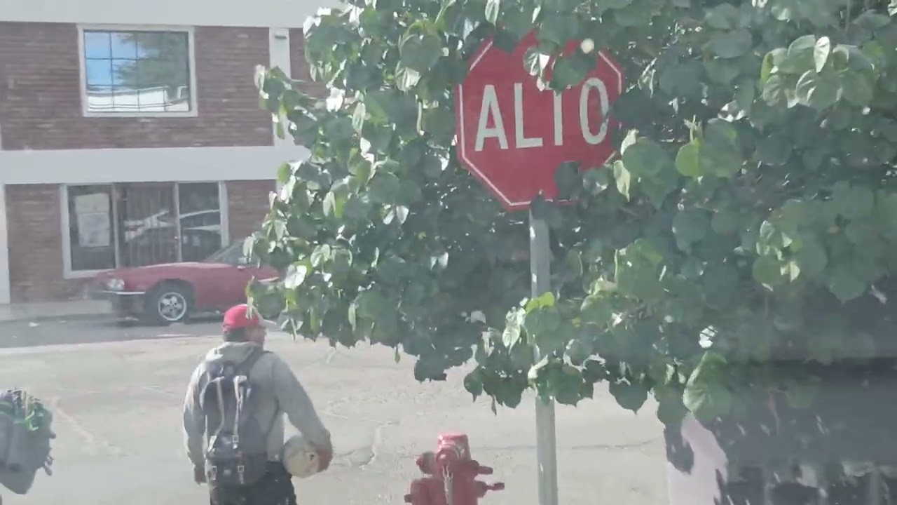 Boi por mi napolitano