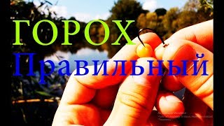 ПРАВИЛЬНЫЙ ГОРОХ для рыбалки на карпа. На что ловить карпа? Супер прикормка на карпа своими руками