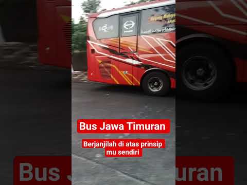 berjanjilah di atas prinsip mu sendiri || bus Jawa Timuran