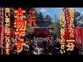 もし逃したら2度とないです【玉置神社初午祭遠隔参拝】24時間後から嬉しく凄く良いことが次々と起きます!神様サインがすごい!最強パワースポット(奈良県十津川村)