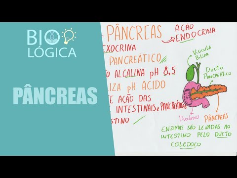 Vídeo: O que contém o suco pancreático?