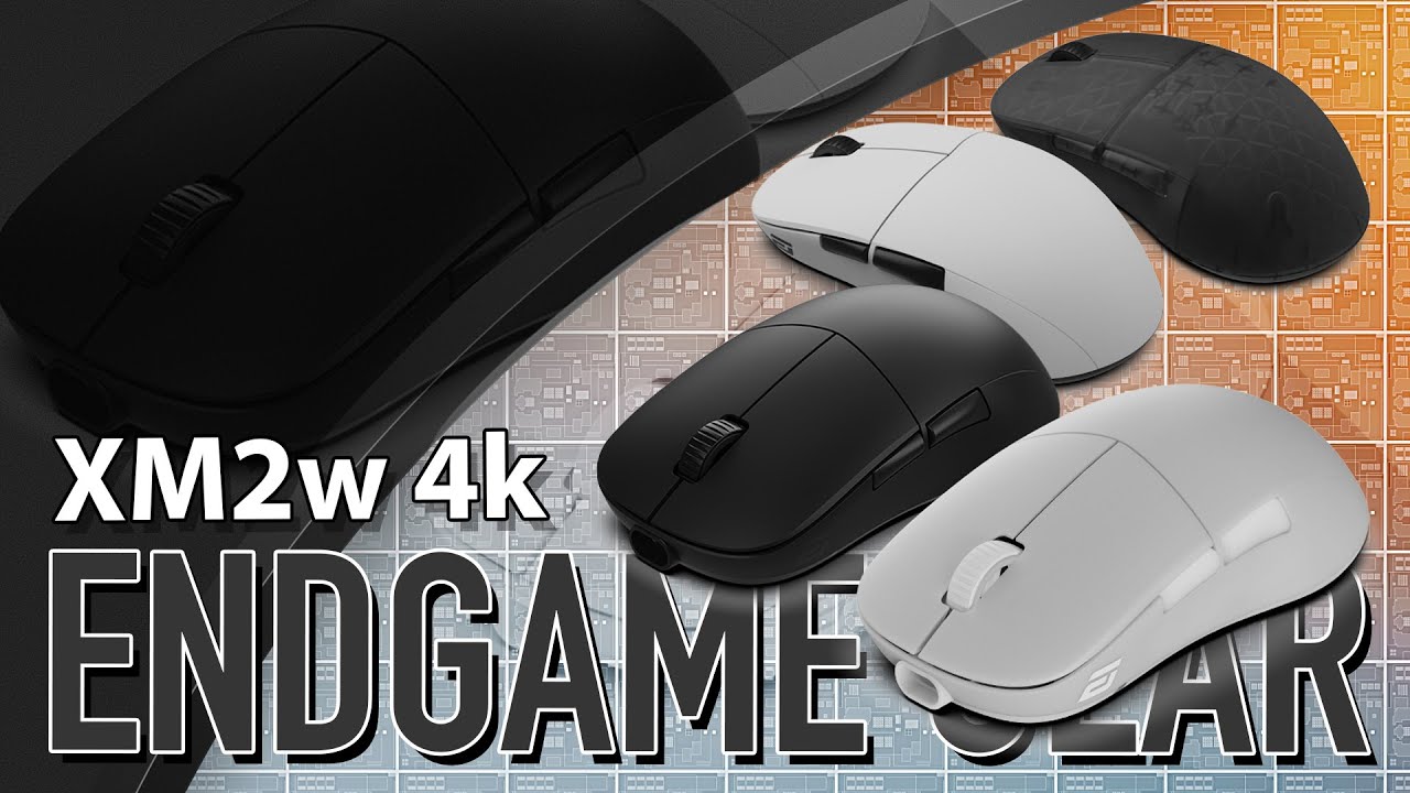 ВОТ ОНА - XM2! Пред-обзор Endgame Gear XM2w 4k (#egg #xm2 #mouse # ...