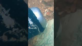 UNDER WATER FOOTAGE OF GOLD DREDGING !!!!!