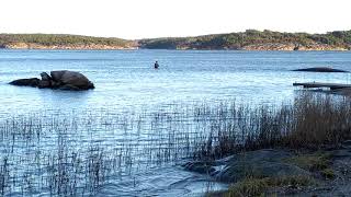 Fluefiske på Asmaløy i november.