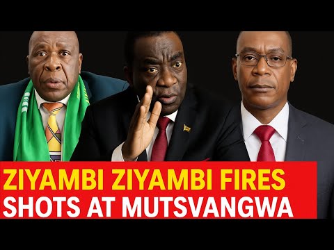 Ziyambi Ziyambi Breaks Ranks Defies ED Mutsvangwa With 2030 Move