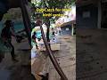 super easy catch dog Street #shortsfeed #shorts #short #youtubeshorts
