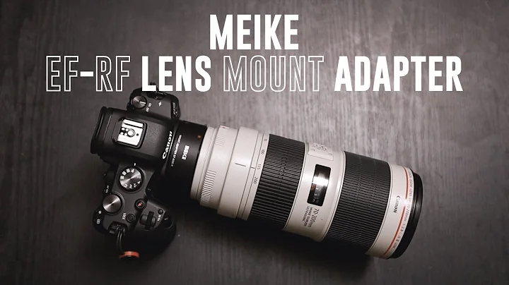 You Had Me at Weather Sealing Gasket! | Meike MK-EFTR-A EF/EF-S to RF Lens Mount Adapter