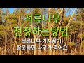 #석류나무 전정하는 방법 #석류나무 가지치기 잘못하면 나무가 죽어요 Mp3 Song